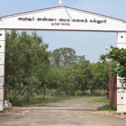 Arignar Anna Government Arts College Musiri PG Courses Fees