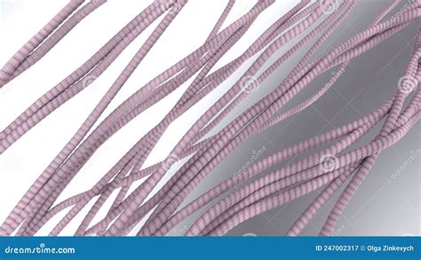 Collagen Fibers Tissues 3d Model Stock Illustration Illustration Of