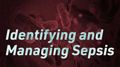 Identifying And Managing Sepsis Ausmed Lectures