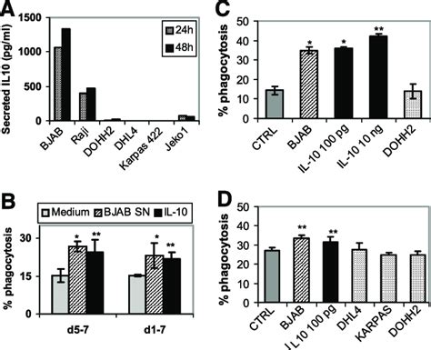 The Bjab Lymphoma Cell Line Secretes Il And Its Conditioned Medium