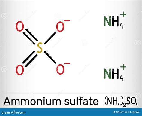 Ammonium Sulfate Ammonium Sulphate Molecule It Is Inorganic Sulfate