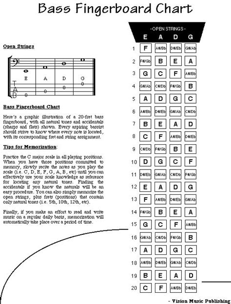 bass guitar notes chart scales Bass scales clef chords tabs chord acoustic