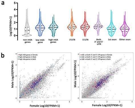 Ijms Free Full Text Profiling Of Transcriptome Wide N6