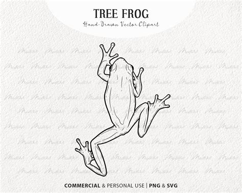 Tree Frog Svg Clipart Bundle Frog Vector Drawings Green Etsy