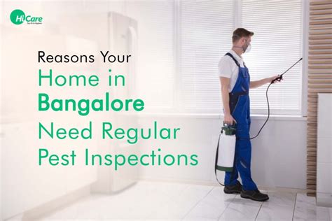 Key Reasons Why Your Home Need Regular Pest Inspections In Bangalore