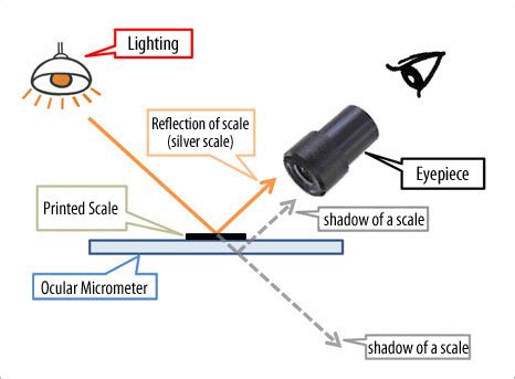 Microscope | Micrometer | Calibration