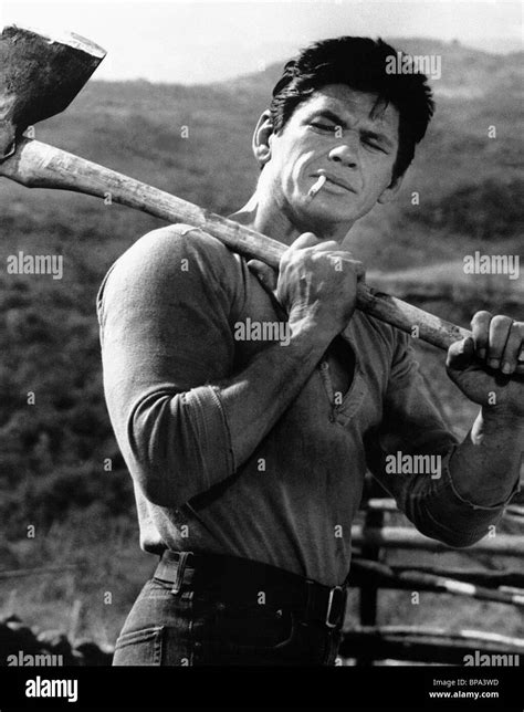 CHARLES BRONSON THE MAGNIFICENT SEVEN (1960 Stock Photo - Alamy