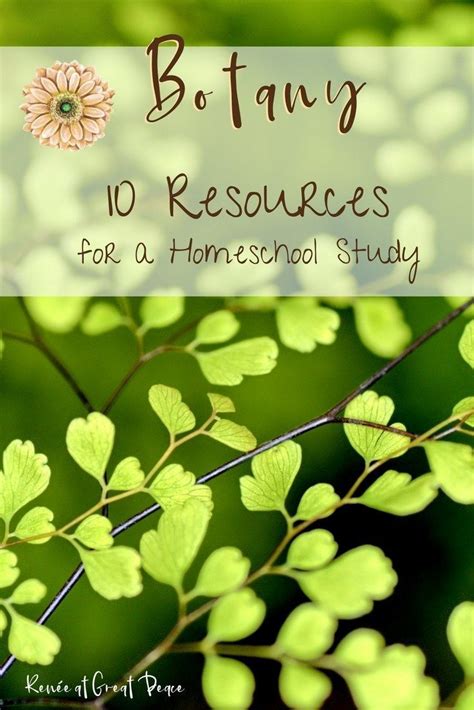 10 Resources for a Botany Homeschool Study | Renée at Great Peace | Homeschool study, School ...