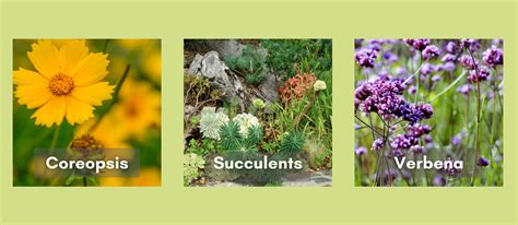 Gardeners Guild SF Bay Area Full Service Landscaping