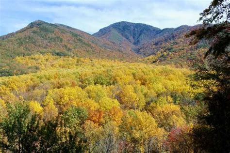 Great Smoky Mountains National Park (Best Honeymoon Destinations In USA)