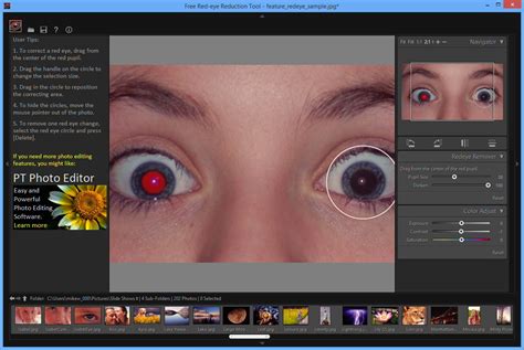 Free Red-Eye Reduction Tool 2.0.0 free download - Software reviews ...