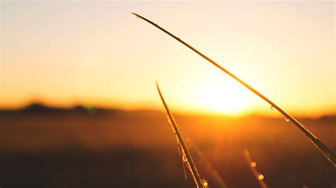 Banco De Imagens Horizonte Nuvem Céu Dom Nascer Do Sol Por Do Sol Luz Solar Manhã