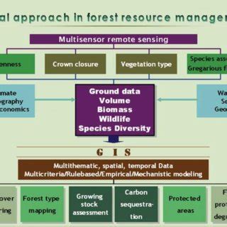 Remote Sensing GIS Application In Forest Resource Management Source