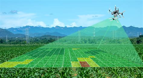 Planificación agrícola y toma de decisiones