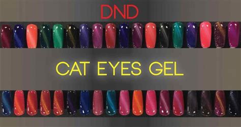 Daisy Nail Design Dnd Full Reviews Daisy Nail Design Popularly Known