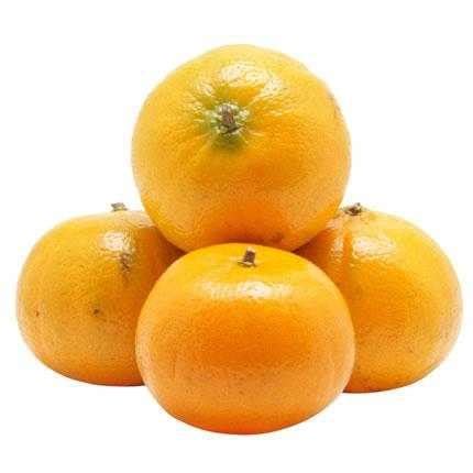 Laranja Natal Okuma Citrus