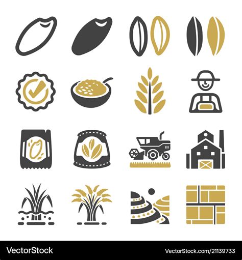 Rice Icon Royalty Free Vector Image VectorStock