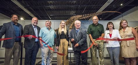 Quinte Museum Of Natural History Fully Opens Its Doors Belleville