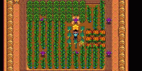 Stardew Valley - Complete Greenhouse Guide: Layout Tips, Best Crops ...