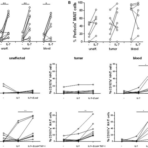 Priming And Degranulation Of Intestinal MAIT Single Cell Suspensions