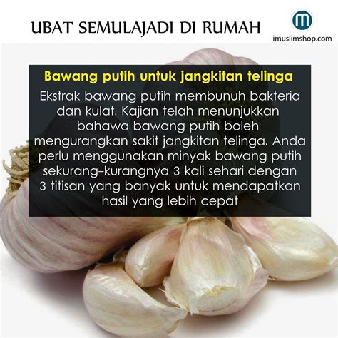 Khasiat Bawang Putih Dalam Perubatan Islam Rasulullah Ungkap Manfaat