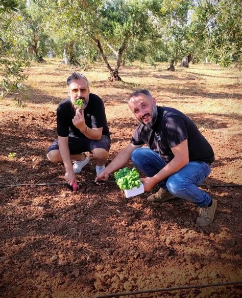 Orto Società Agricola Le Quattro Volte