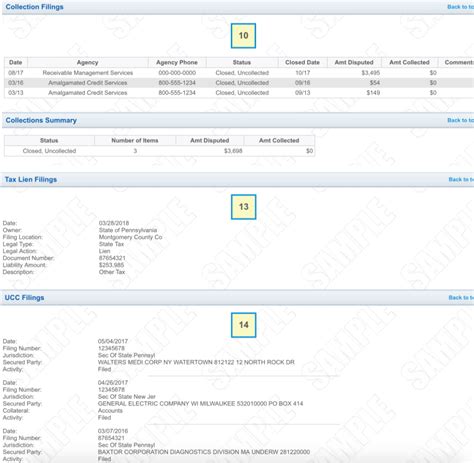 How to Pull a Business Credit Report & Decipher It