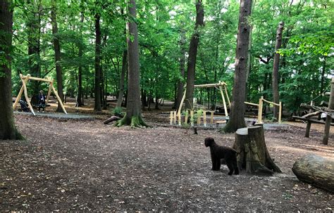 Adventure Playground Grovelands Park