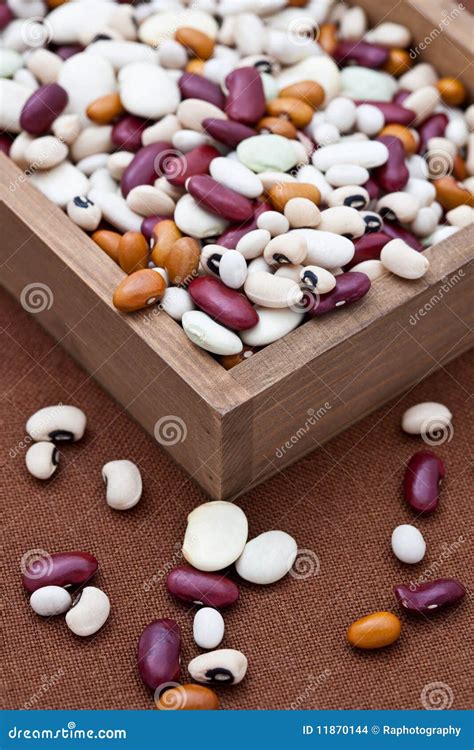 Mixed Dried Beans Stock Photo Image Of Black Macro 11870144