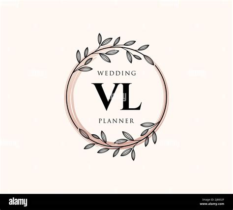 Vl Initials Letra Boda Monograma Colecci N Logotipos Mano Dibujado