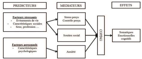 Mod Les D Veloppementaux Mod Les Th Oriques De Lorientation