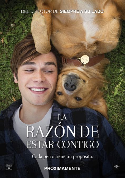 Pienso Leyendo La razón de estar contigo película