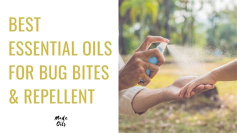 Best Essential Oils For Bug Bites And Repellent YouTube