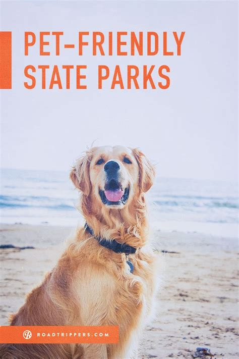 Pet Friendly State Parks No One Gets Left Behind If You Go To One Of