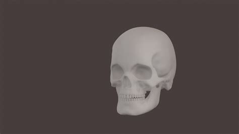 Artstation Skull 3d Model