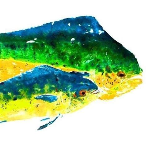 Double Dorado Gyotaku Fish Rubbing Limited Edition Print 33 X 16 5