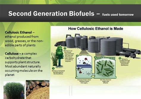 Biofuel: Types, Uses & Examples – StudiousGuy