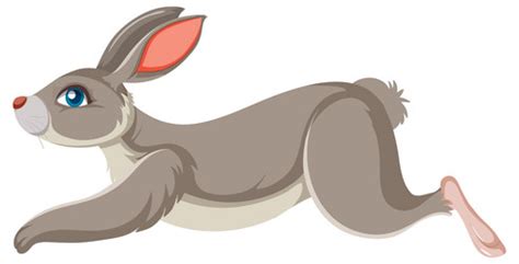 Rabbit Side View Vector Images (over 200)