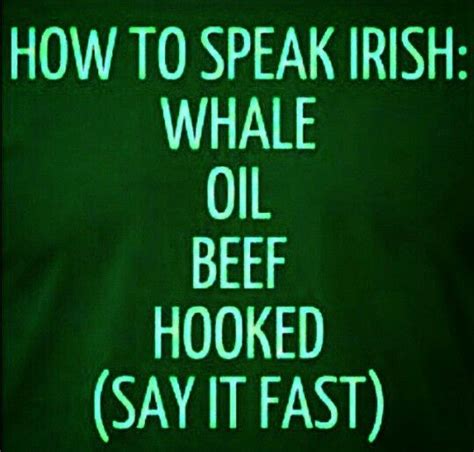 Irish Accent | How to speak irish, Irish quotes, Funny quotes