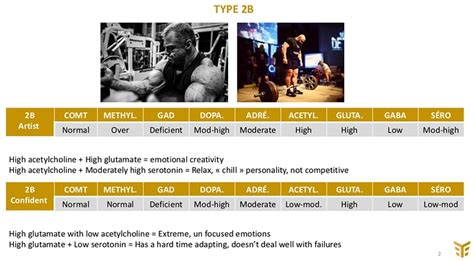 Neurotype Explanation Charts Christian Thibaudeau Coaching Community T Nation