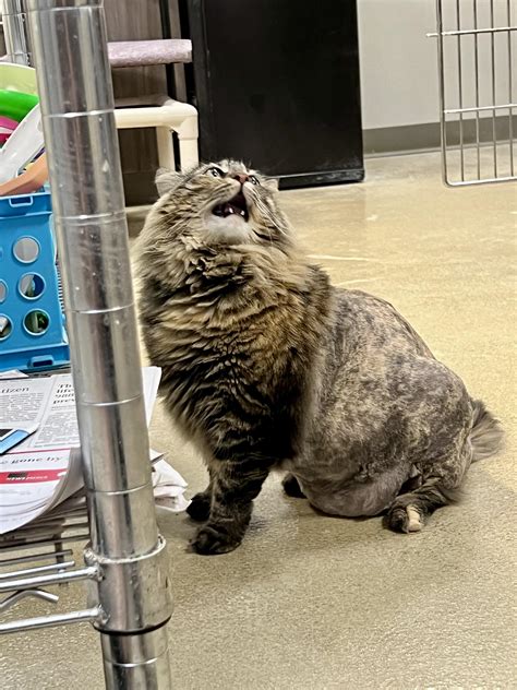 699 Best Willa Images On Pholder Flarrow Porn Gentlemanboners And Succession TV