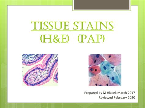 Pap Stain For Cytology Principle Of The Hande Stain Docslib