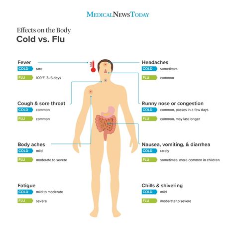 Influenza Virus Symptoms