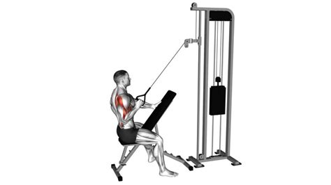 Cable Seated Single Arm Row Female Exercise Guide Tips