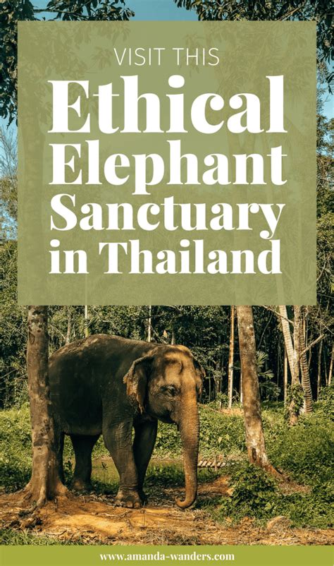 Visit This Truly Ethical Elephant Sanctuary in Phuket, Thailand • Amanda Wanders