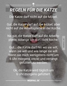 Katzen Quotes Ideen Katzen Katzenspr Che Katzen Zitate