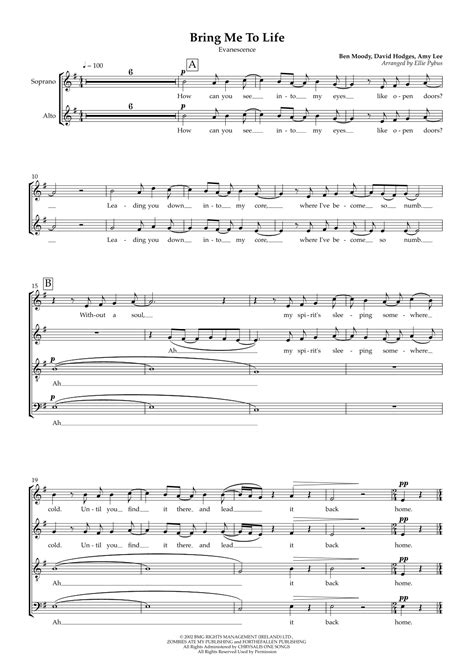 Bring Me To Life Arr Silv Pybus By Evanescence Sheet Music For Satb