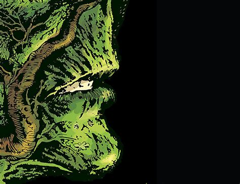 An Introduction To Saga Of The Swamp Thing Book One