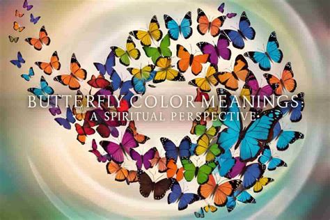 Butterfly Color Meanings A Spiritual Perspective