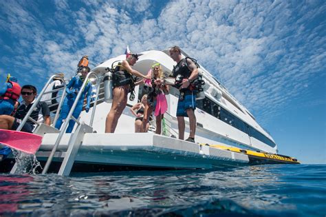 Great Barrier Reef Tour & Helicopter Flight |Cairns